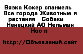 Вязка Кокер спаниель - Все города Животные и растения » Собаки   . Ненецкий АО,Нельмин Нос п.